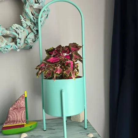 Apartamento Darlea Rijeka