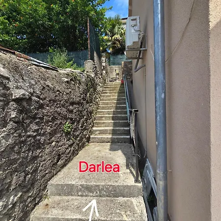 Darlea * Rijeka